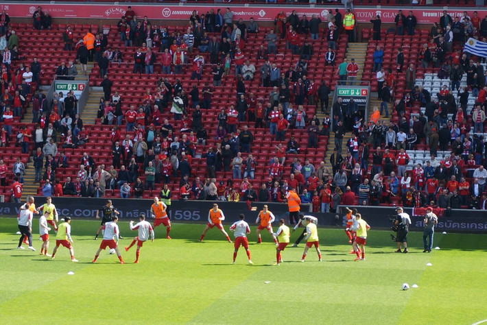 条雪