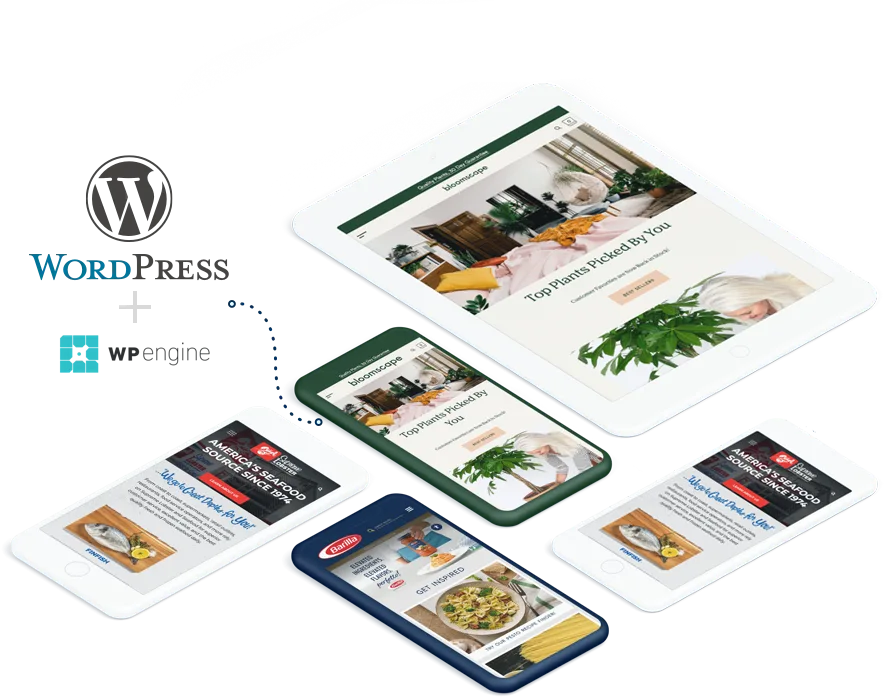 WordPress   Development - 28圈2